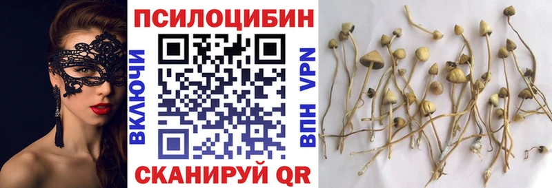 Псилоцибиновые грибы прущие грибы  hydra   нарко площадка клад  Ставрополь 